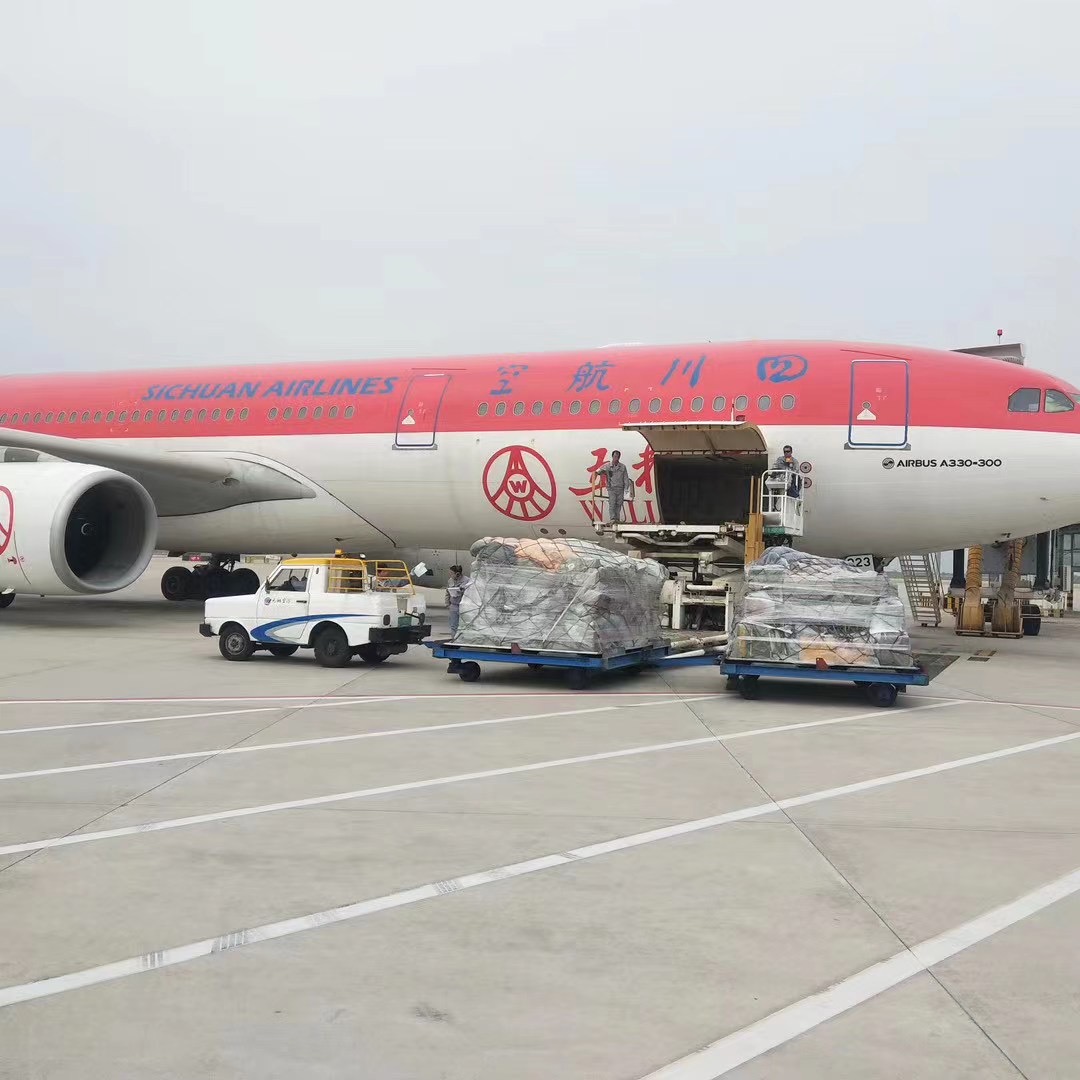 航空快遞與物流行業面臨數字化和環保挑戰，展望未來發展機遇？
